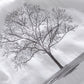 Embroidered short sleeve in a tree